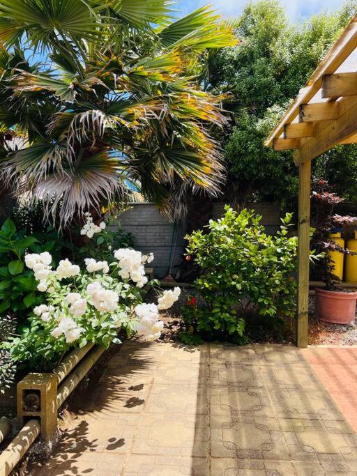 Casa de férias Cabana Algarrobo *